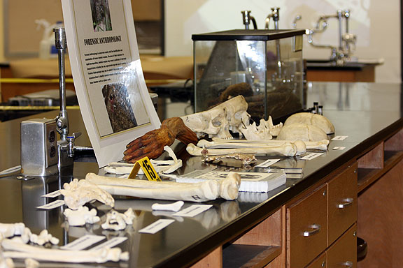 tools used in the forensic science technology program